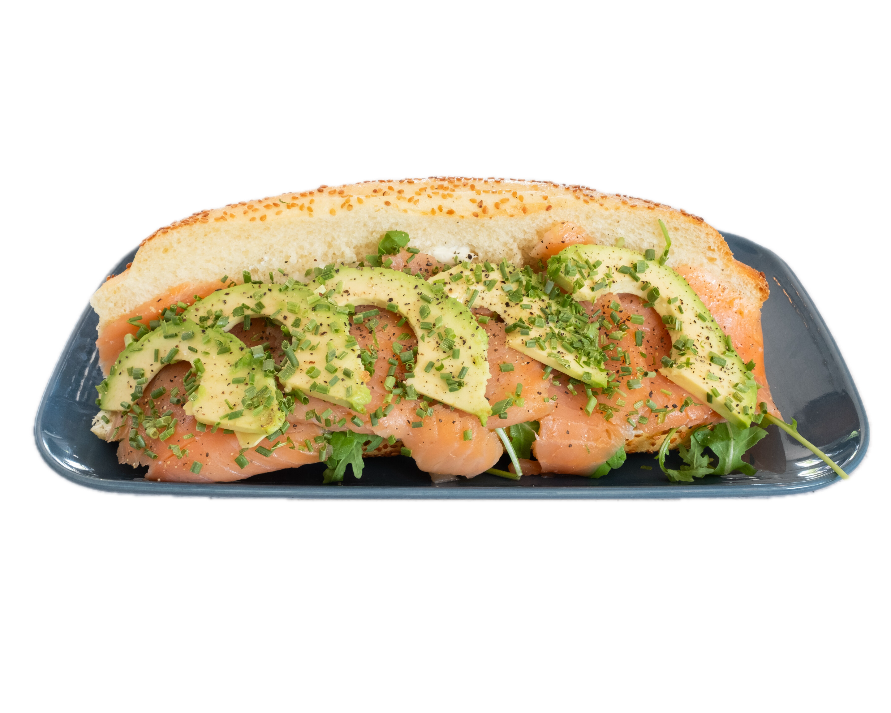SALMON image