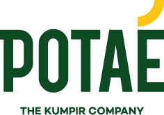 Potae Enschede