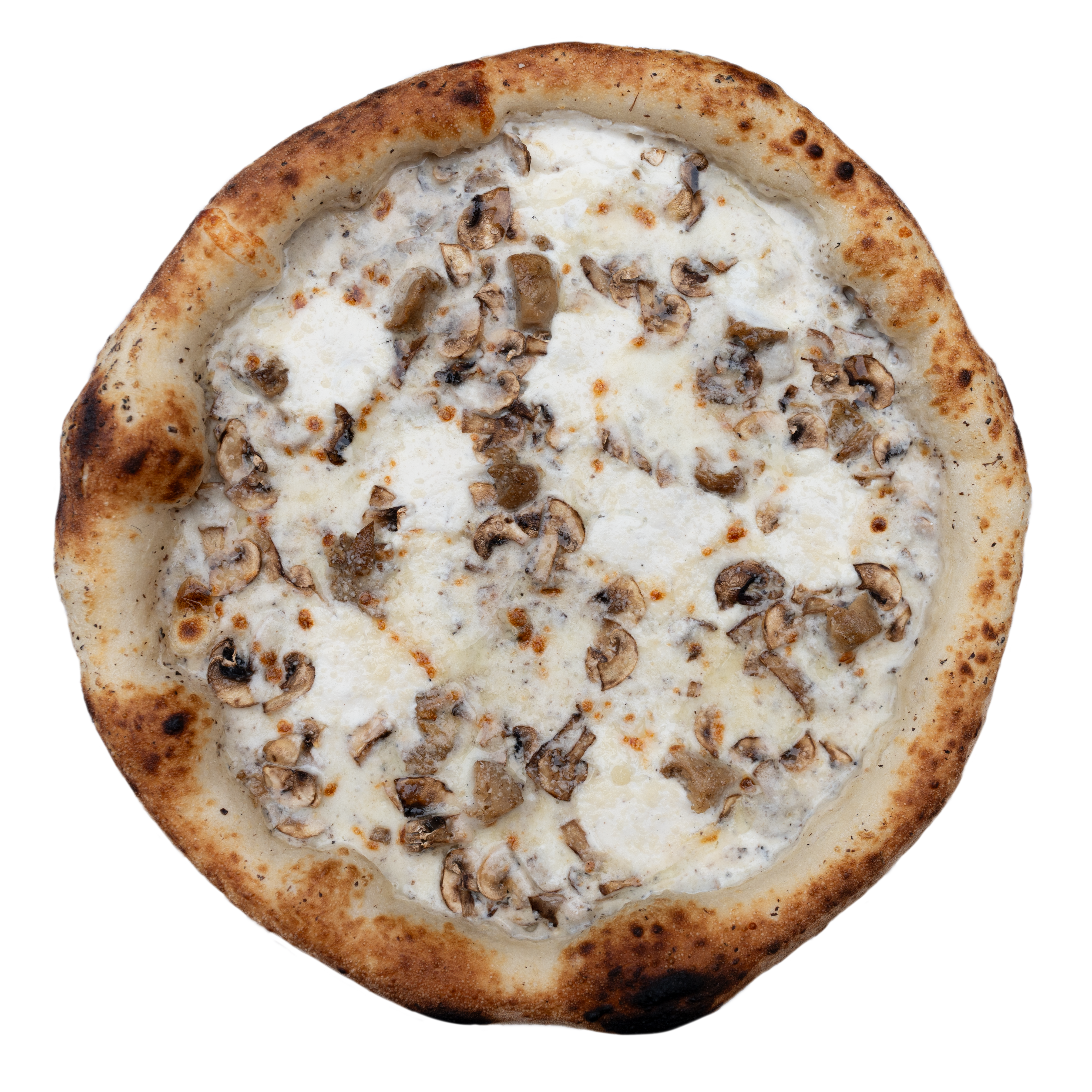 16 Truffle van mushroom image
