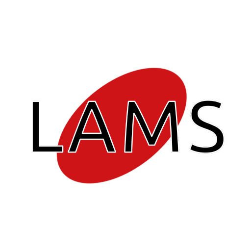 Turkse Pizza Lams image