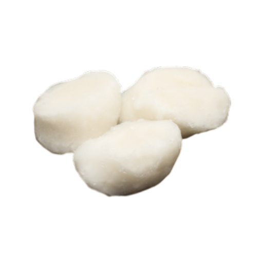 Coquilles image